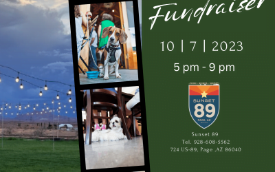 Wags and Wine Fundraiser